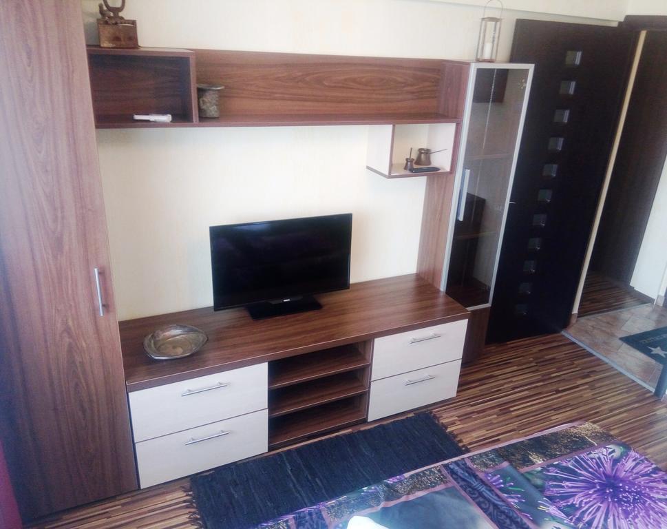 Apartament Dana Bucarest Extérieur photo