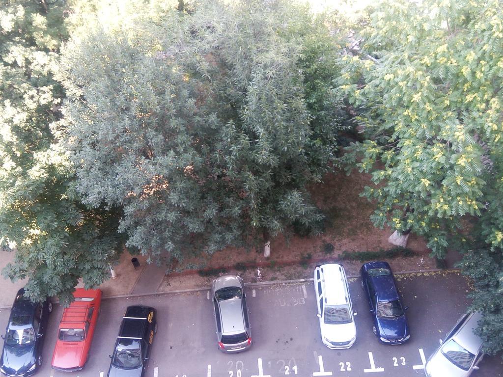 Apartament Dana Bucarest Extérieur photo