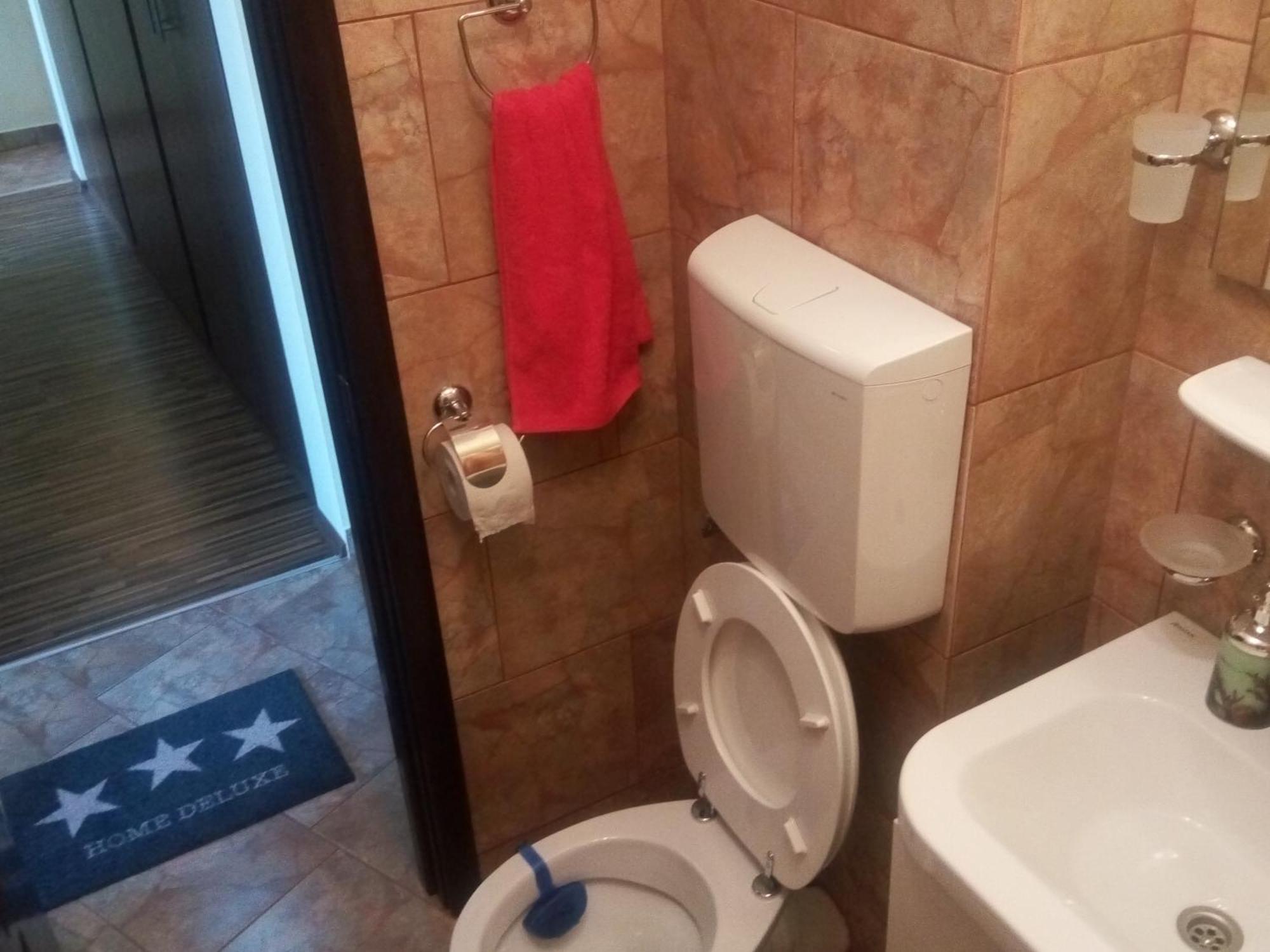 Apartament Dana Bucarest Extérieur photo